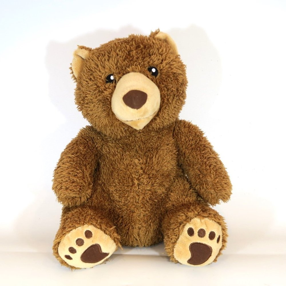 Kohls Cares Brown Bear Little Critter Mercer Mayer Teddy Stuffed Animal Plush